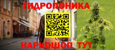 индика Пыть-Ях