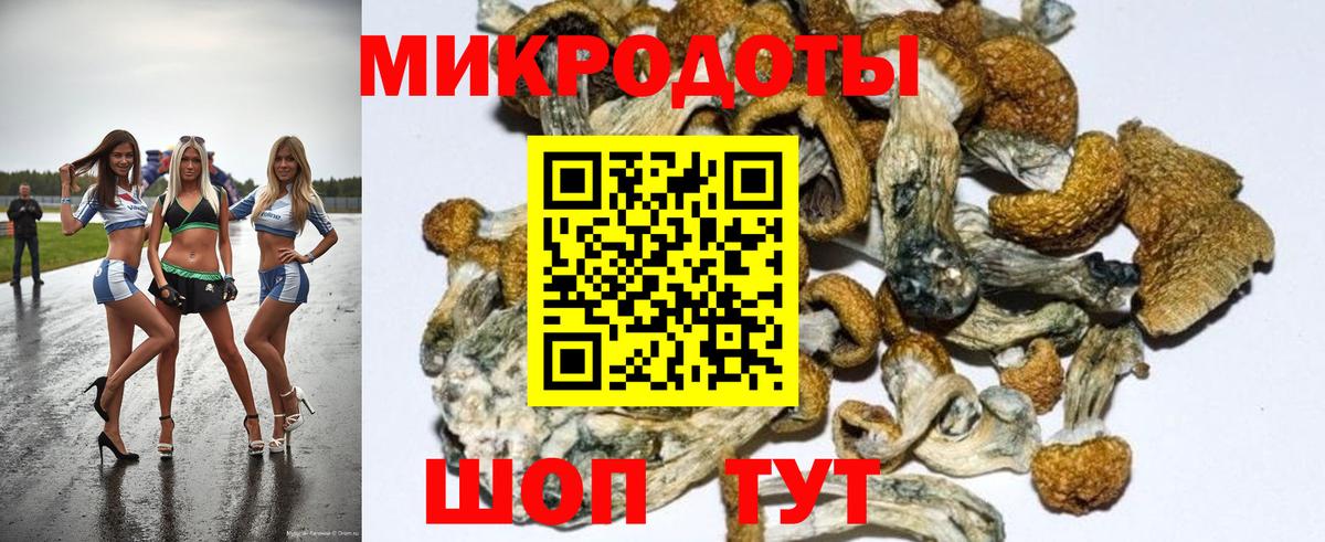 Галлюциногенные грибы MAGIC MUSHROOMS  где найти наркотики  Галлюциногенные грибы Cubensis  Сунжа  Вход с VPN 